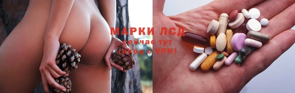 спиды Белокуриха