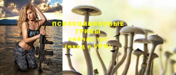 винт Белоозёрский