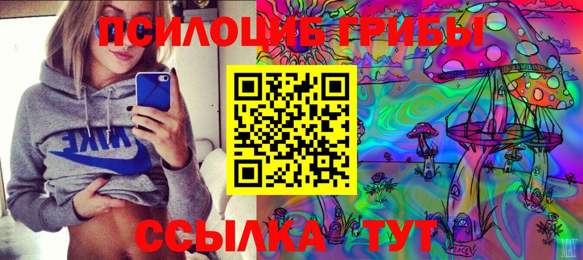 Псилоцибиновые грибы Psilocybe Воркута